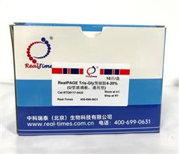4-15%RealPAGE Tris-Glycine預制膠（塑料板） 11孔